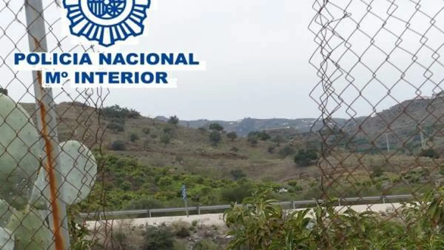 Imagen de explotaciones agrícolas de la Axarquía, Málaga Imagen de explotaciones agrícolas de la Axarquía, Málaga