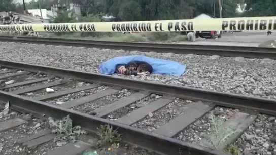 Un perro custodia el cuerpo de su dueño, atropellado por un tren en México Un perro custodia el cuerpo de su dueño, atropellado por un tren en México
