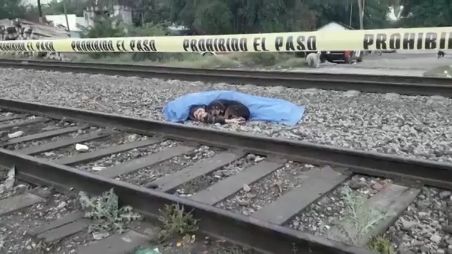 Un perro custodia el cuerpo de su dueño, atropellado por un tren en México Un perro custodia el cuerpo de su dueño, atropellado por un tren en México