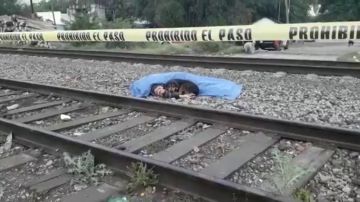 Un perro custodia el cuerpo de su dueño, atropellado por un tren en México
