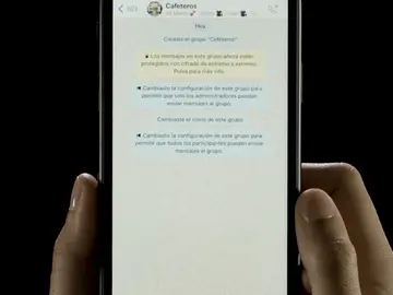 Cómo silenciar a un participante de un grupo de WhatsApp  Cómo silenciar a un participante de un grupo de WhatsApp