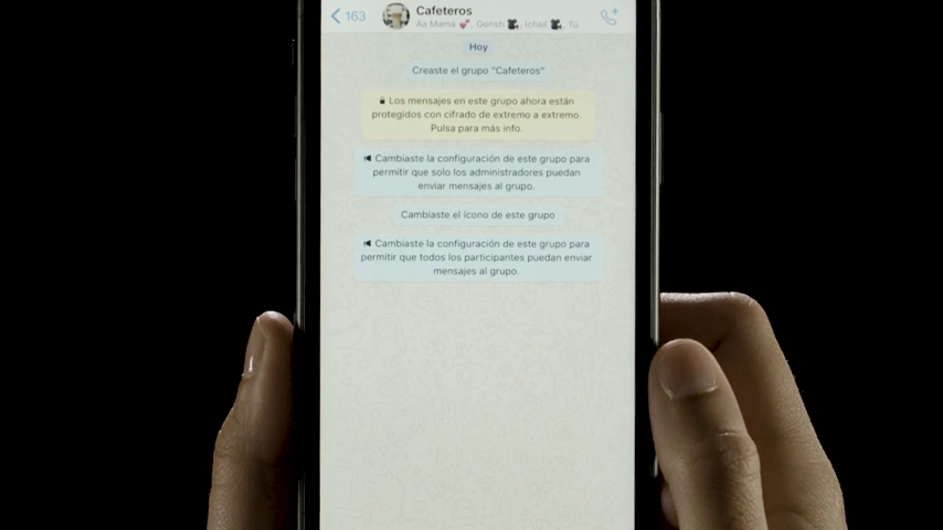 Cómo silenciar a un participante de un grupo de WhatsApp 