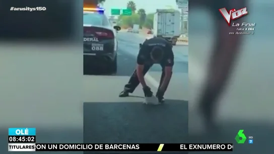 El emotivo rescate de un agente de Policía a un cachorro en plena autopista El emotivo rescate de un agente de Policía a un cachorro en plena autopista