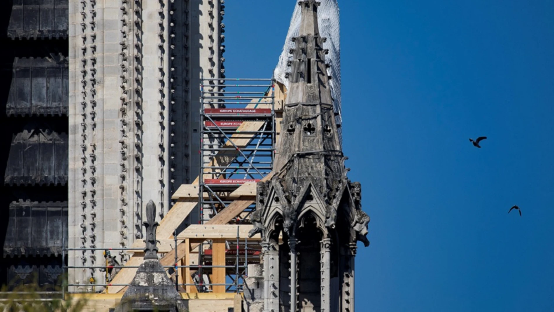  Fraude en una página web que recaudaba donaciones para reconstruir Notre Dame tras los incendios
