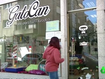 DISCAPACIDAD DISCAPACIDAD