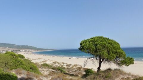 Playa Bolonia