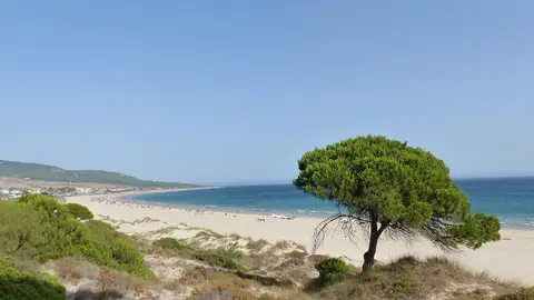 Playa Bolonia Playa Bolonia
