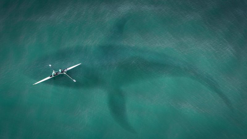 Descubren las verdaderas dimensiones del ‘Megalodón’, el famoso tiburón gigante