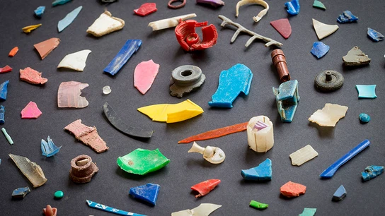 La reducción del consumo de plásticos, objetivo primordial de la economía circular La reducción de plásticos, objetivo primordial de la economía circular
