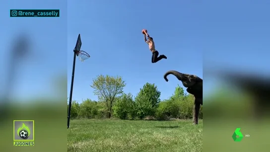 elefante_Jugones elefante_Jugones