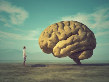 La irreversibilidad de la muerte cerebral cuestionada La irreversibilidad de la muerte cerebral cuestionada