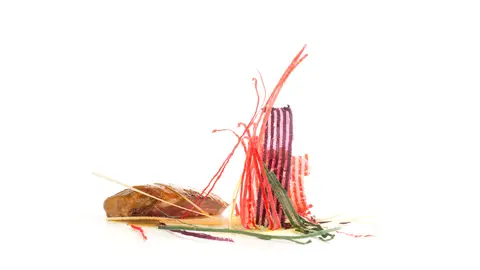 Arzak Arzak