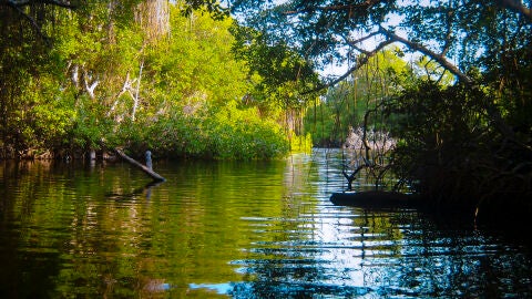 Parque Nacional de Morrocory