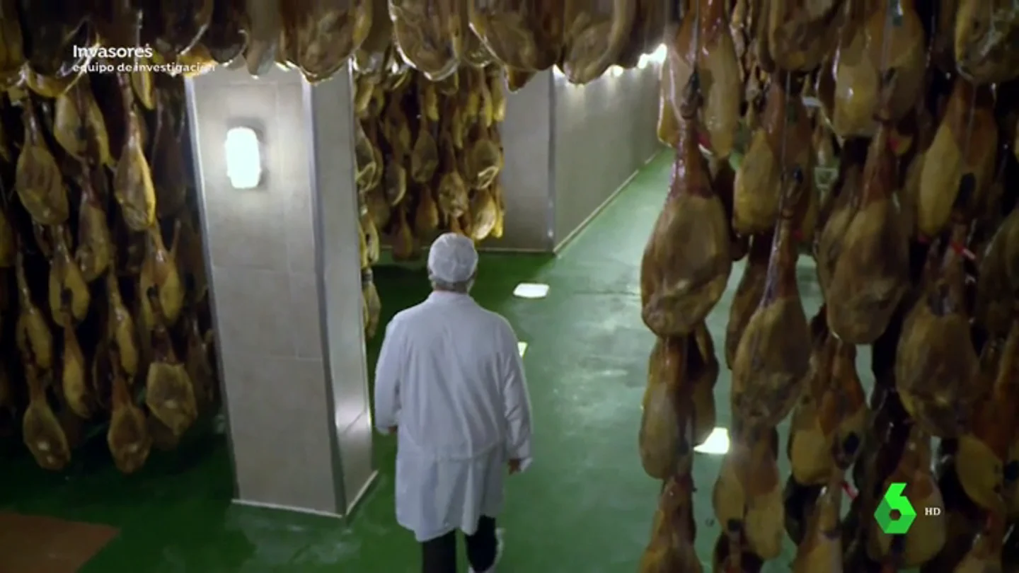 El jamón ibérico, en jaque: un hongo asiático amenaza de muerte las encinas que dan de comer a 700.000 cerdos ibéricos El jamón ibérico, en jaque: un hongo asiático amenaza de muerte las encinas que dan de comer a 700.000 cerdos ibéricos