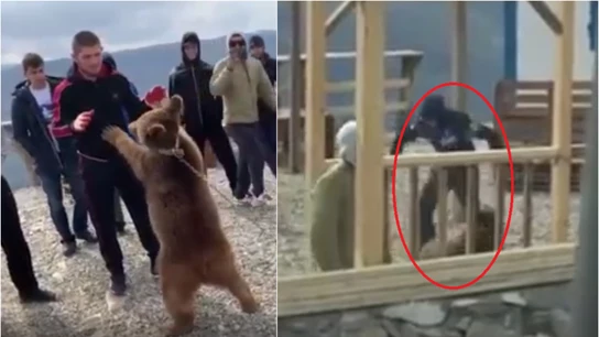 Las imágenes de Khabib y el oso Las imágenes de Khabib y el oso