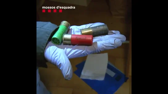 Imagen de la operación policial Imagen de la operación policial