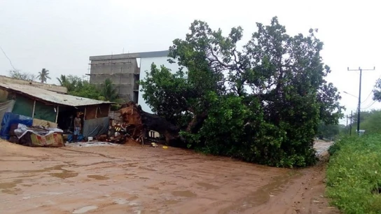 Mozambique vuelve a ser golpeado por un ciclón solo seis semanas después de que la tormenta tropical Idái dejara más de 700 muertos Mozambique vuelve a ser golpeado por un ciclón solo seis semanas después de que la tormenta tropical Idái dejara más de 700 muertos