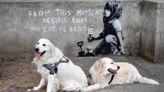 Dos perros descansan frente a un muro en el que ha aparecido una supuesta nueva obra de Banksy Dos perros descansan frente a un muro en el que ha aparecido una supuesta nueva obra de Banksy