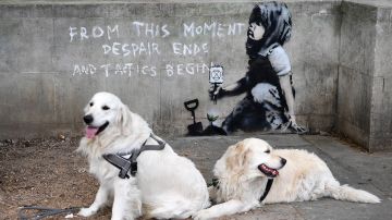 Dos perros descansan frente a un muro en el que ha aparecido una supuesta nueva obra de Banksy