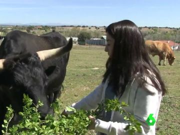 Santiago Abascal en los toros, Aitor Esteban viendo el fútbol o Laura Duarte con un buey: así pasan la jornada de reflexión los otros partidos Santiago Abascal en los toros, Aitor Esteban viendo el fútbol o Laura Duarte con un buey: así pasan la jornada de reflexión los otros partidos