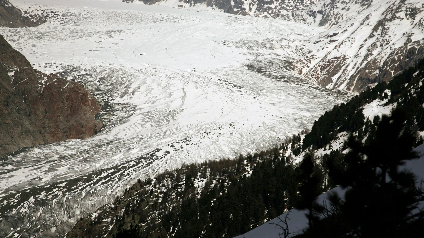 El glaciar Aletsch El glaciar Aletsch
