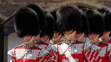 Royal Guard