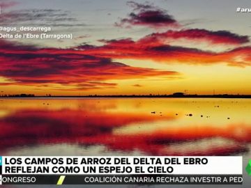 De las puestas de sol en los cultivos de arroz a los campos de amapolas: las imágenes que nos deja la llegada del buen tiempo De las puestas de sol en los cultivos de arroz a los campos de amapolas: las imágenes que nos deja la llegada del buen tiempo