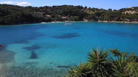 Paxos
