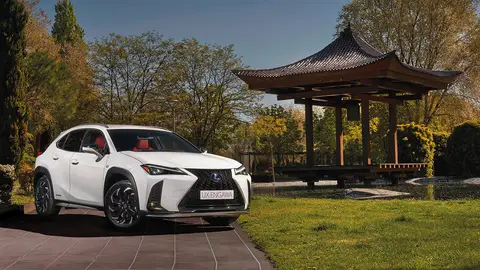 Lexus UX 'Engawa' Lexus UX 'Engawa'