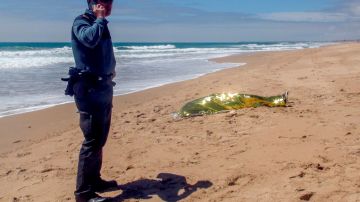 El cadáver del menor en la playa de El Palmar