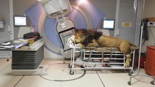 Caos durante su tratamiento en el hospital