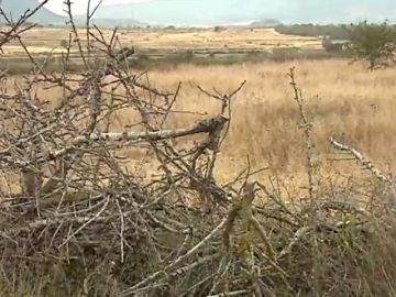 Así se transformarían los refranes con la influencia del cambio climático: ¿En abril aguas no vi? Así se transformarían los refranes con la influencia del cambio climático: ¿En abril aguas no vi?