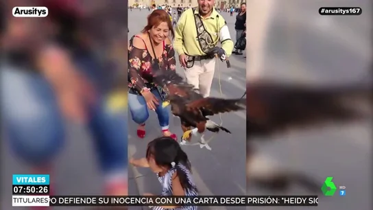 Una niña asustada intenta escapar de las garras de un águila ante las risas de su madre Una niña asustada intenta escapar de las garras de un águila ante las risas de su madre