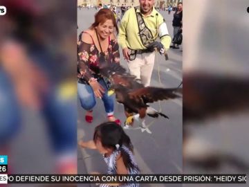 Una niña asustada intenta escapar de las garras de un águila ante las risas de su madre