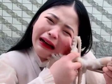 Una 'vlogger' china es atacada por un pulpo cuando se lo intenta comer vivo Una 'vlogger' china es atacada por un pulpo cuando se lo intenta comer vivo