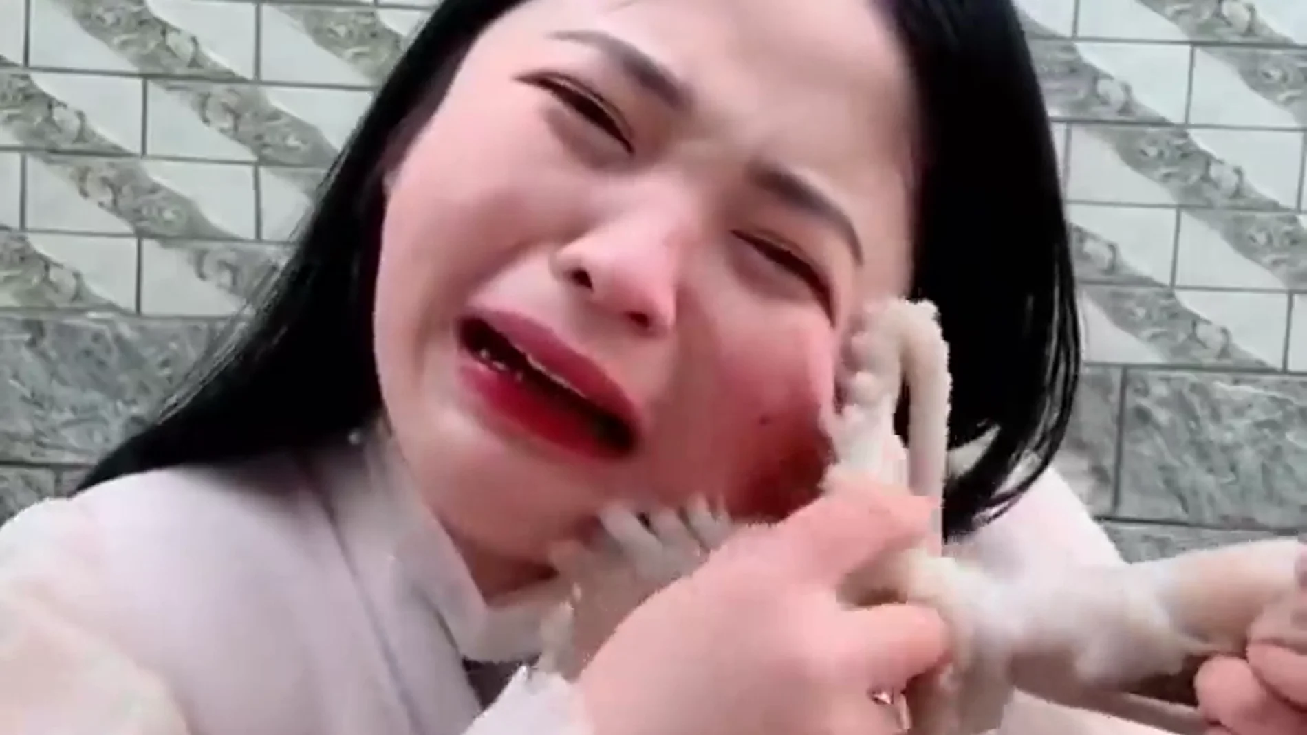 Una 'vlogger' china es atacada por un pulpo cuando se lo intenta comer vivo