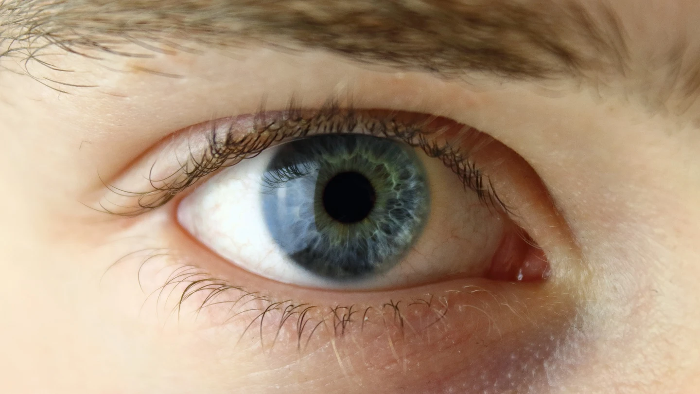 Imagen de archivo de un ojo. Imagen de archivo de un ojo.