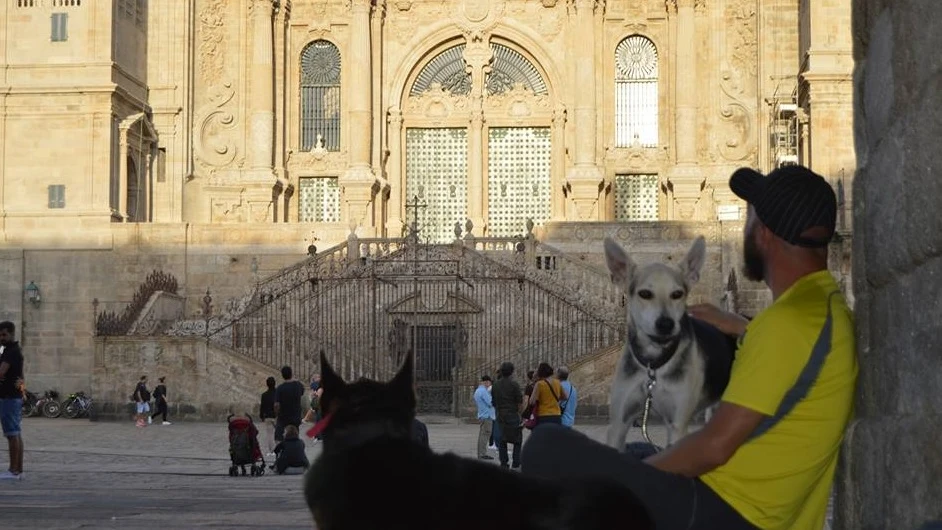 Un hombre con dos perros frente a la catedral de Santiago