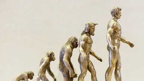 Evolución Tecnoxplora