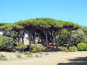Parques Parques
