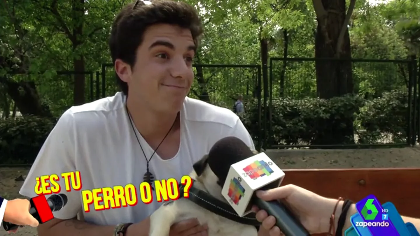 perro perro