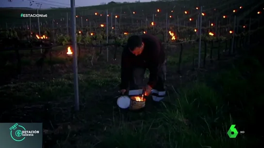 Candelas, las pequeñas hogueras que abrigan del frío nocturno a los viñedos Candelas, las pequeñas hogueras que abrigan del frío nocturno a los viñedos