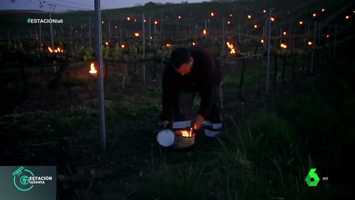 Candelas, las pequeñas hogueras que abrigan del frío nocturno a los viñedos