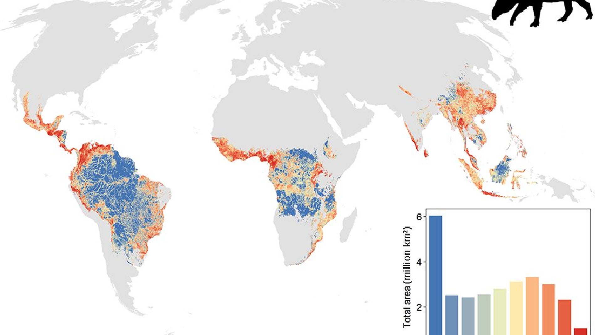 La caza se ceba con los mamiferos de los bosques tropicales intactos