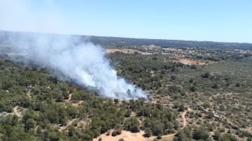 Incendio en Son Verí (Mallorca)