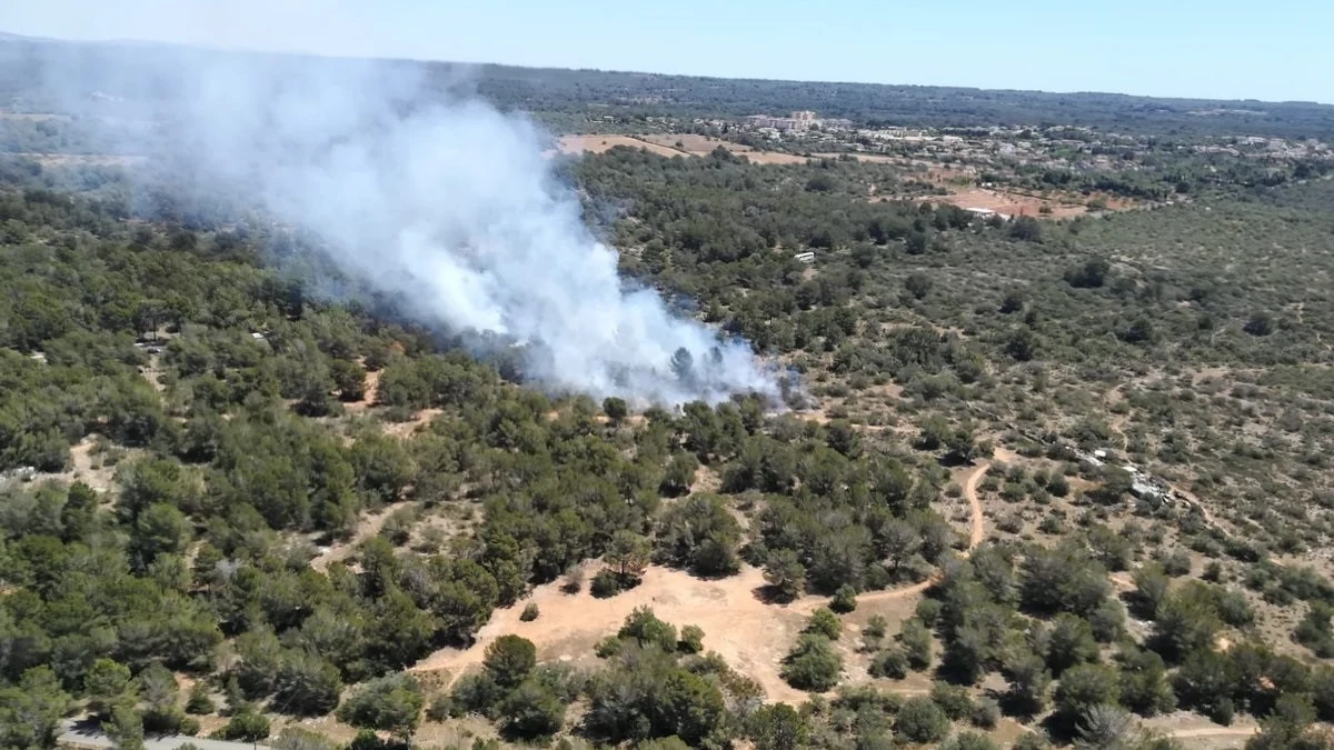 Incendio en Son Verí (Mallorca) IBANAT