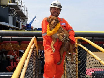Rescatan a un perro que naufragó Rescatan a un perro que naufragó