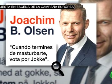 Un anuncio electoral de un diputado danés colgado en una web porno Un anuncio electoral de un diputado danés colgado en una web porno