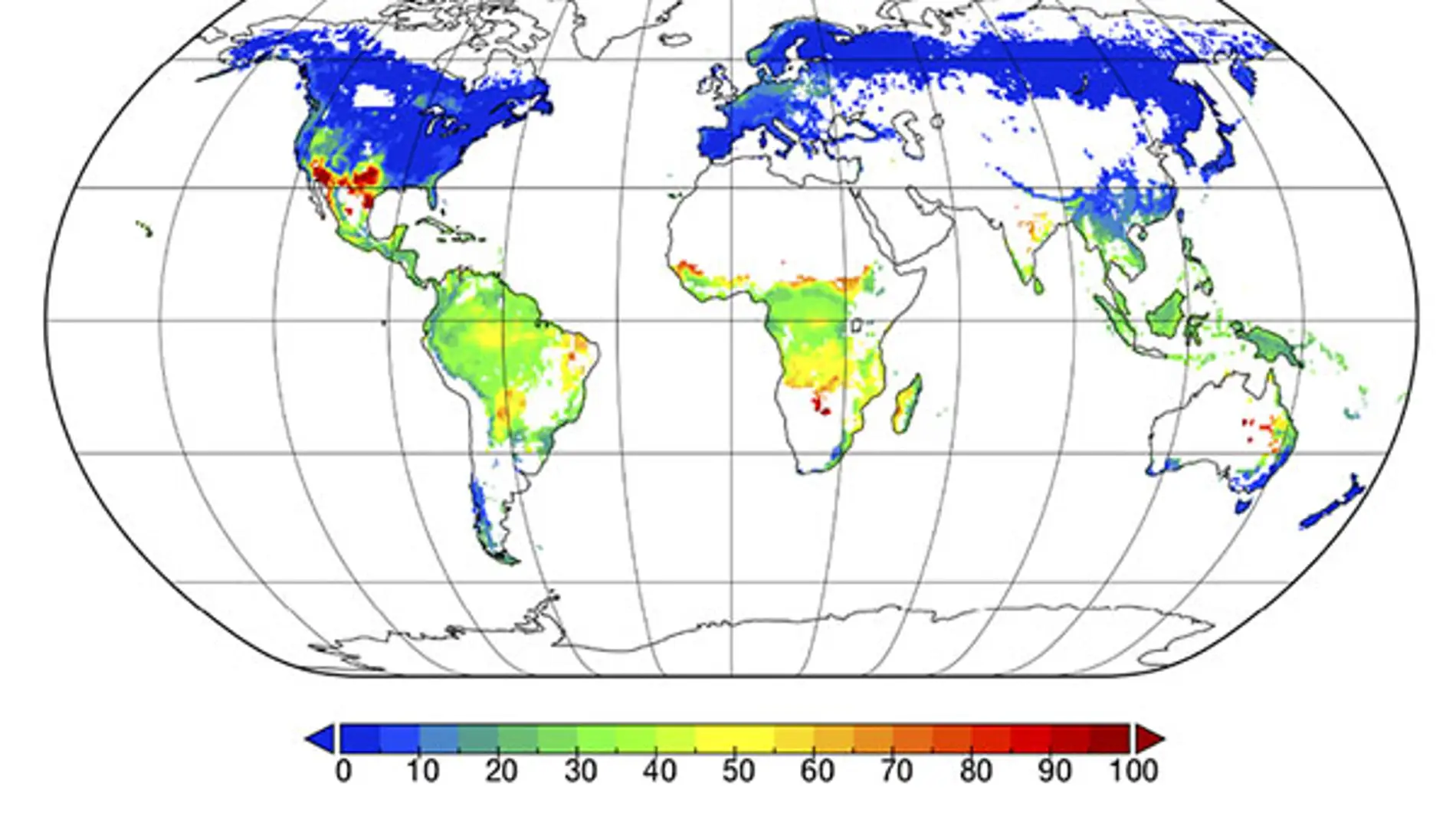 Las simbiosis entre arboles y hongos claves para entender la evolucion del clima