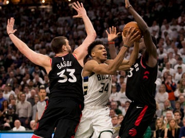 Giannis Antetokounmpo penetra a canasta ante la defensa de Marc Gasol Giannis Antetokounmpo penetra a canasta ante la defensa de Marc Gasol